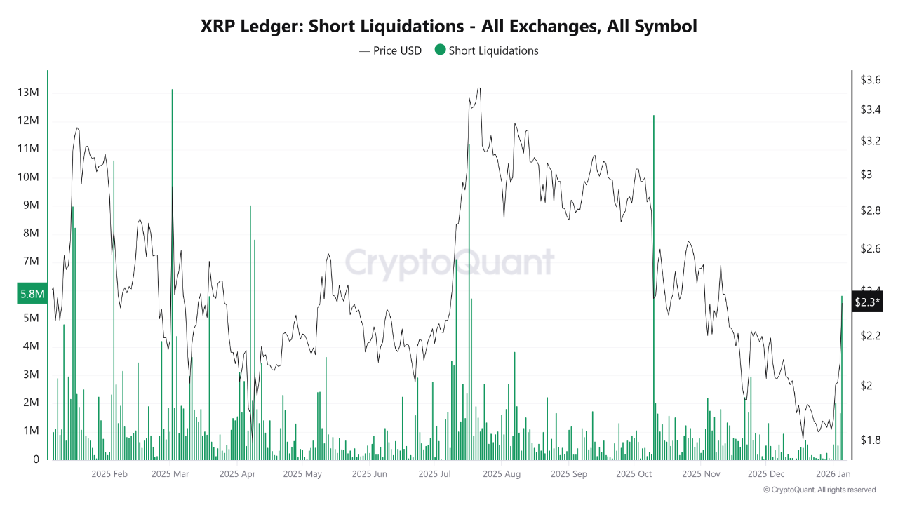 likuidasi short altcoin xrp