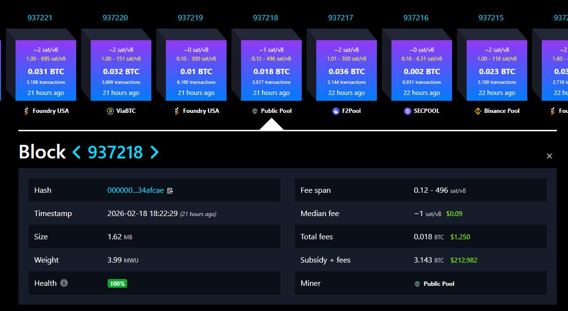 Blok Bitcoin yang Ditambang oleh Solo Miner - Mempool