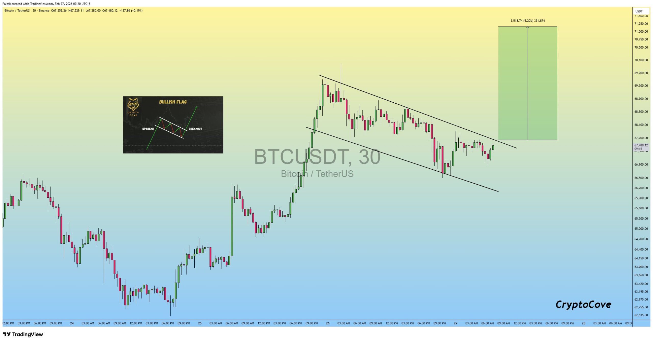 Bullish Flag BTC