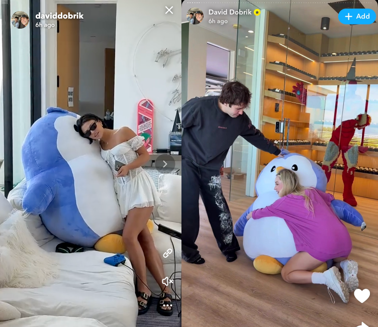 David Dobrik PENGU