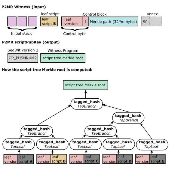 Mekanisme P2MR pada BIP 360