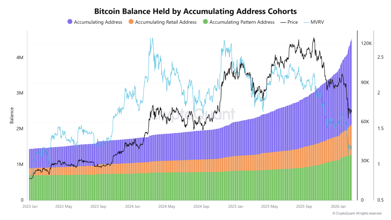 address akumulasi BTC