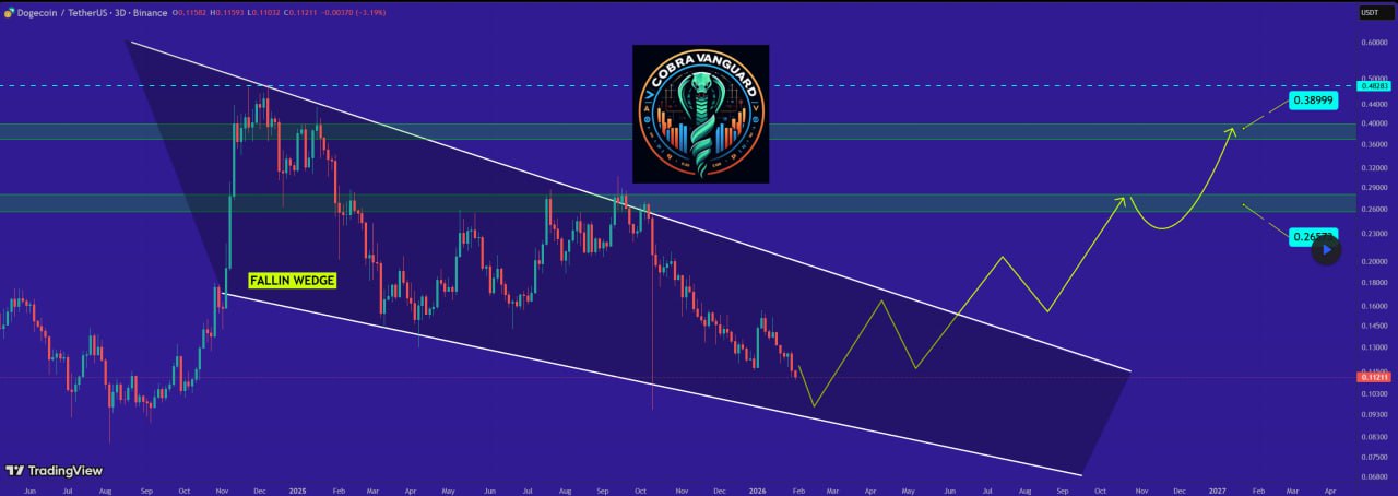 analisis token DOGE 1 Feb