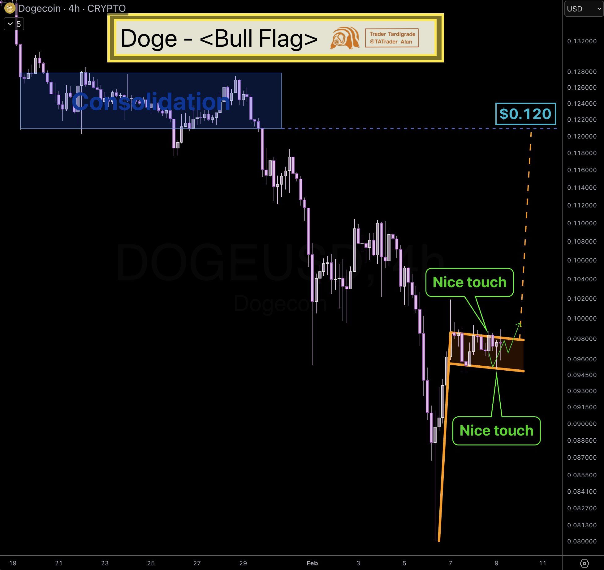 bull flag dogecoin
