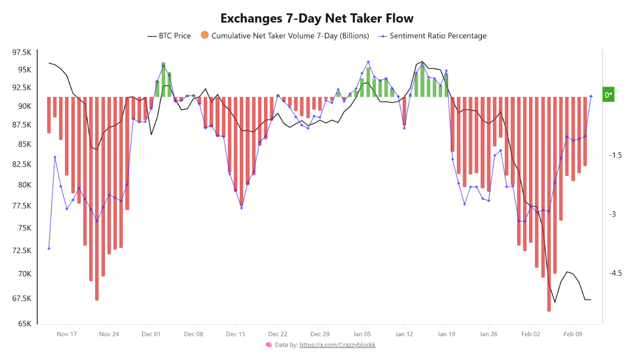 net taker bursa BTC