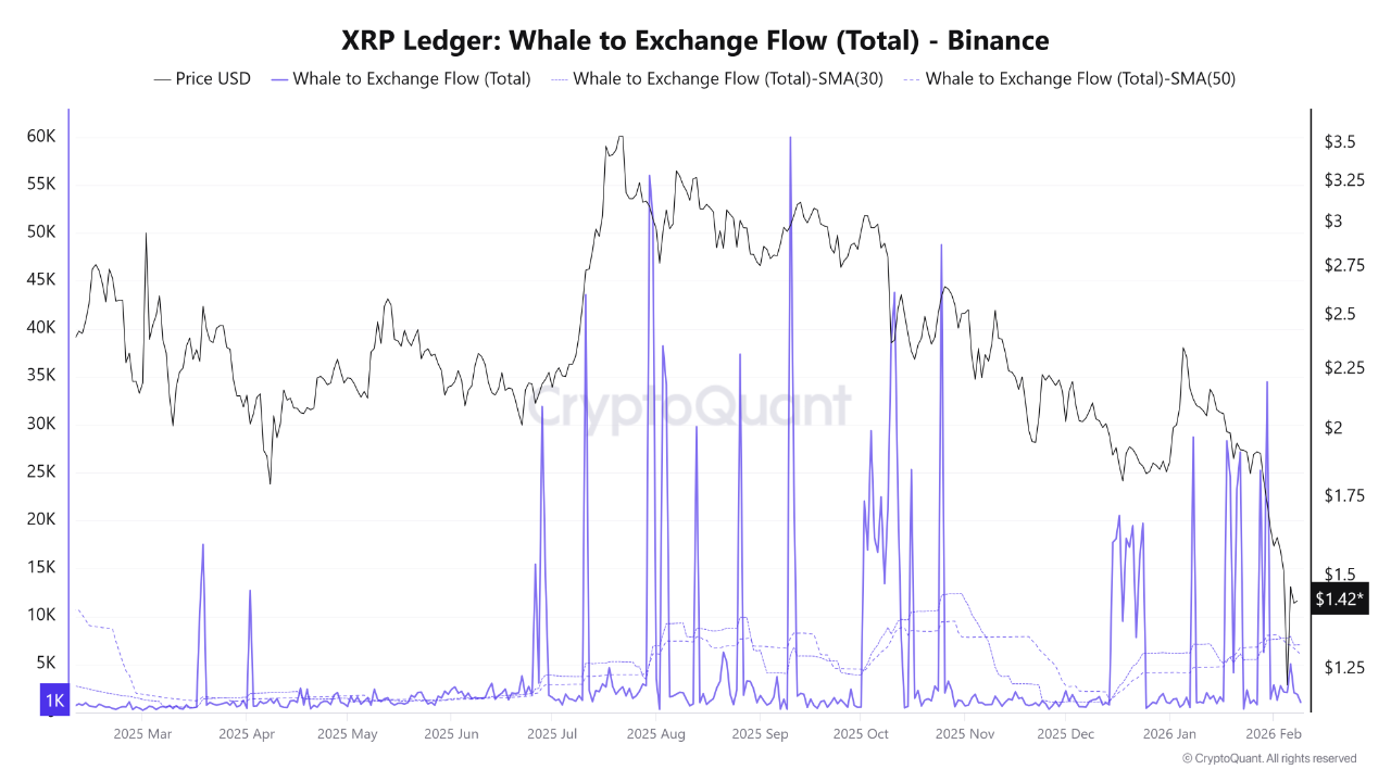 whale ke Bursa XRP