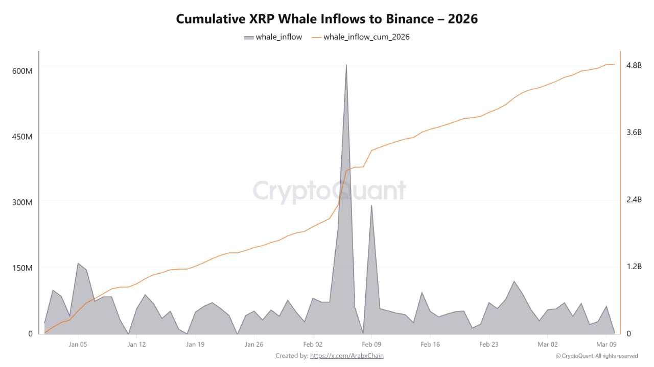 Whale XRP inflow