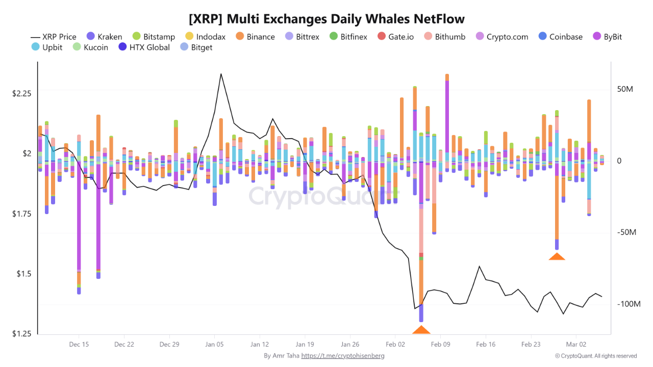 XRP Whale
