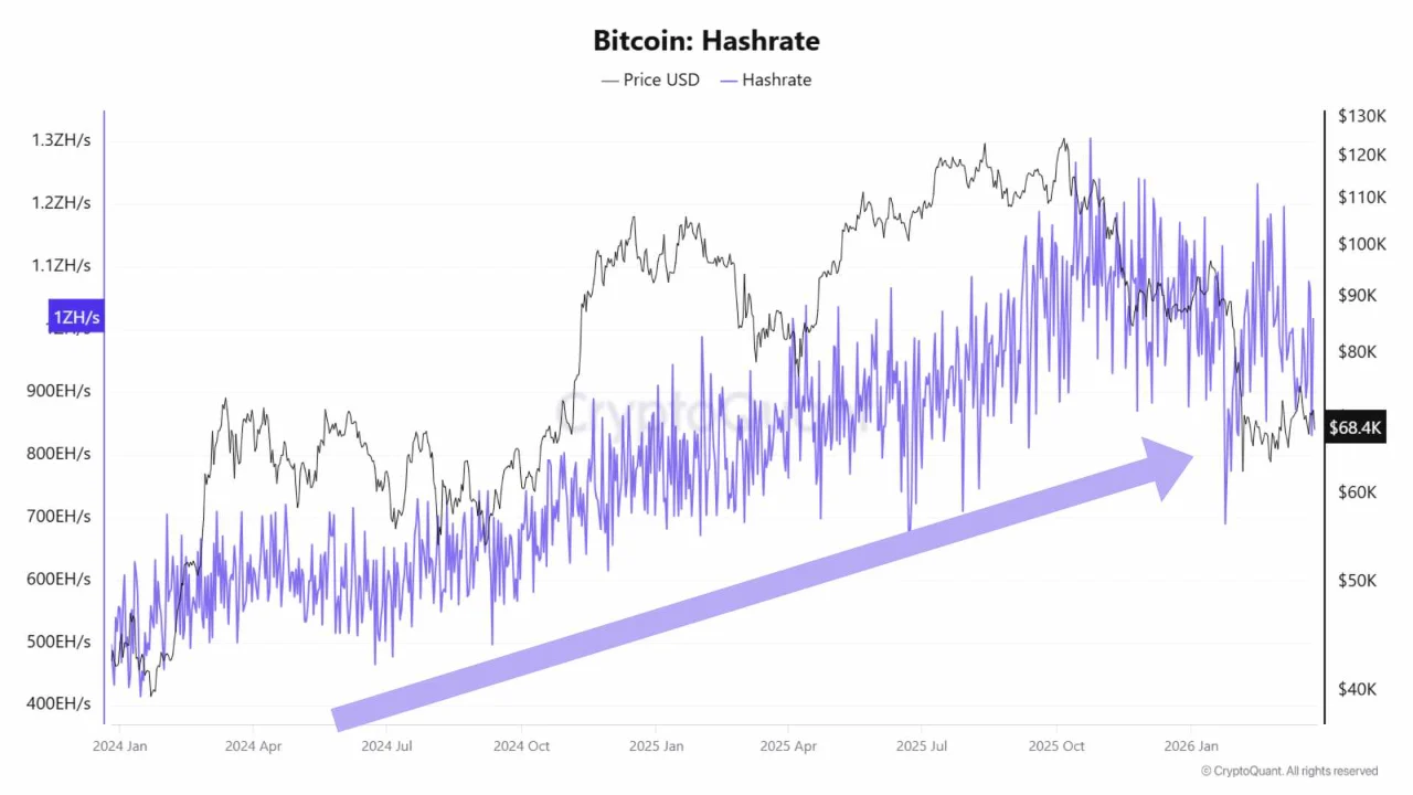 hashrate bitcoin