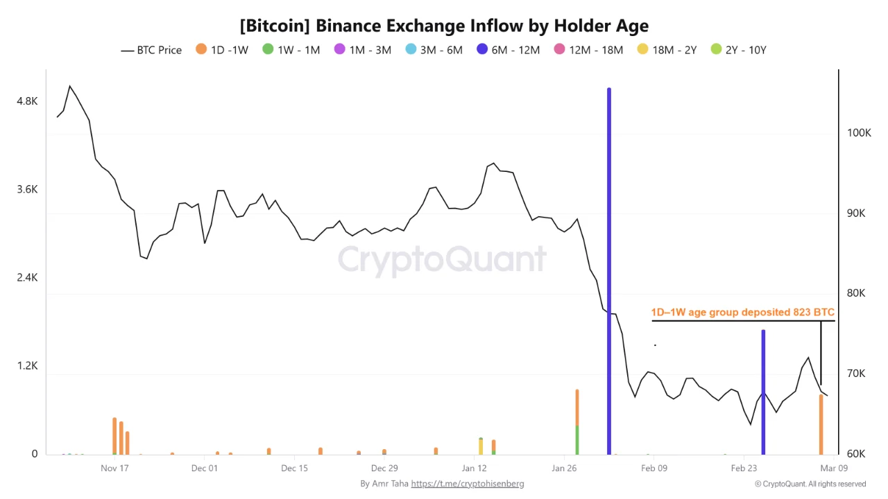 holder Age exchange inflow BTC