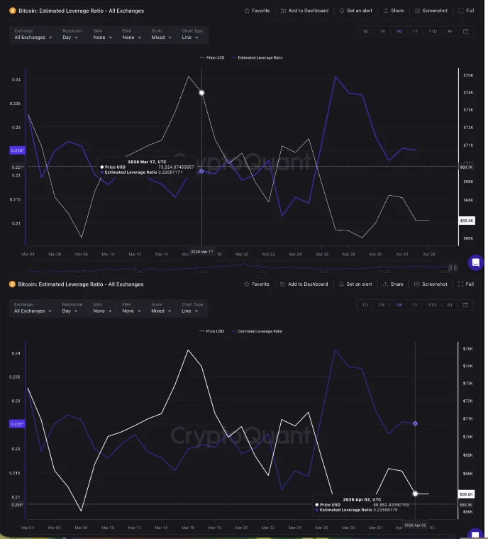 Leverage Ratio BTC