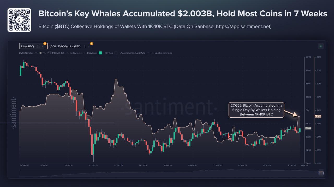 whale BTC 14 apr