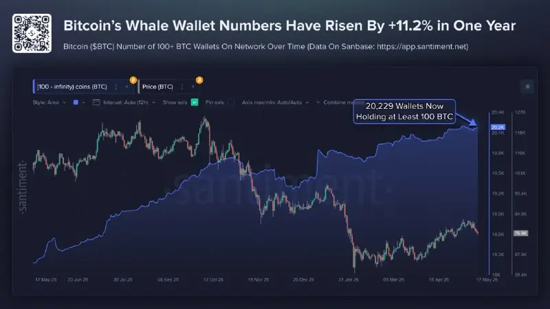 Akumulasi Bitcoin oleh Whale - Santiment