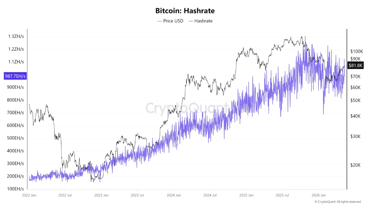 Bitcoin hashrate