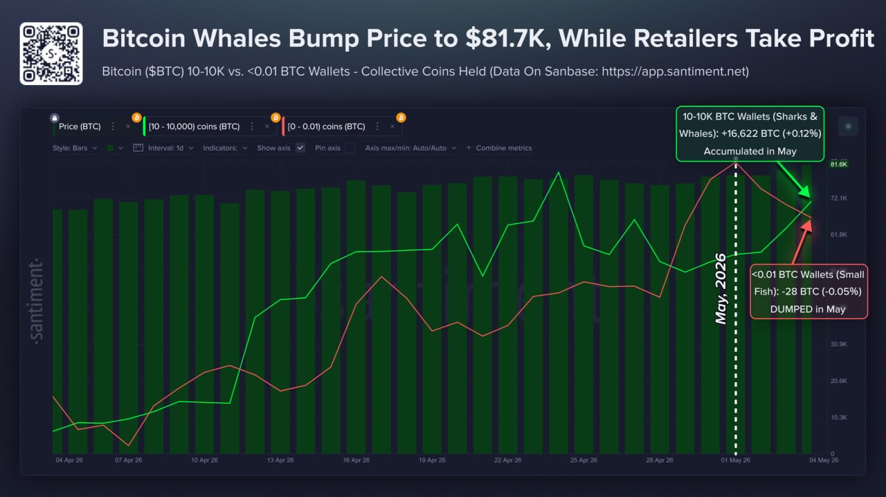 Bitcoin whale ritel