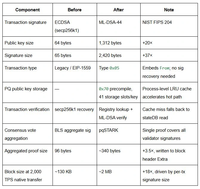 Detail Terkait Uji Coba Update Anti Kuantum di BSC