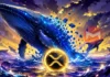 Dominasi Whale XRP Mulai Melemah, Pertanda Apa?