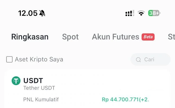 Keuntungan yang Didapat Investor Kripto RI saat Menyimpan USDT - Christian