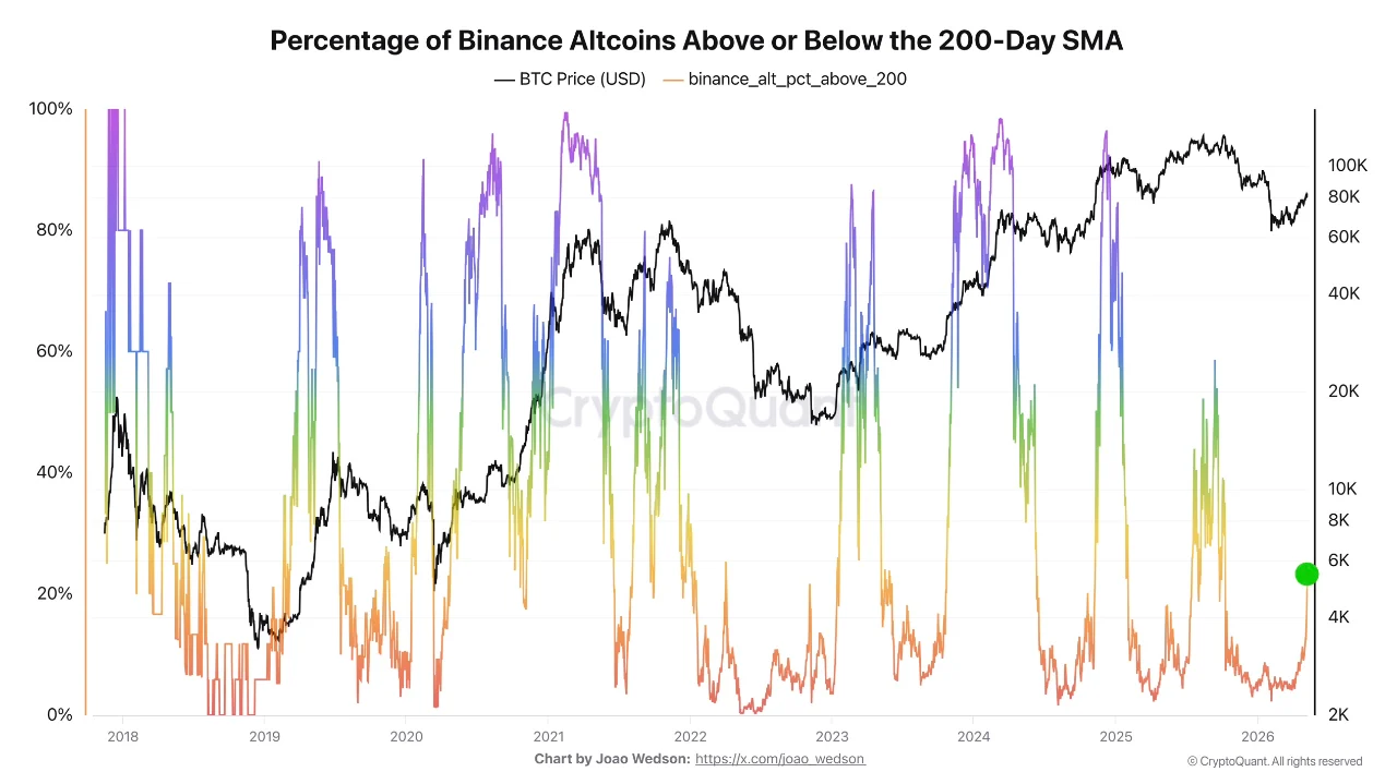Performa Altcoin di Binance - Darkfost