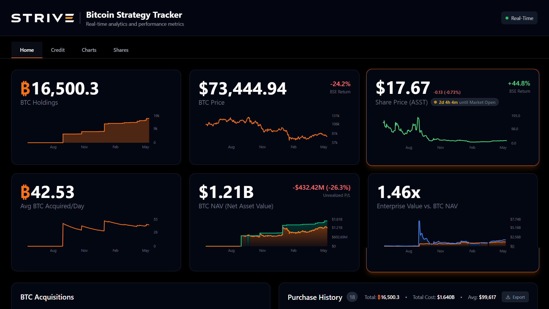 Portofolio Bitcoin Strive