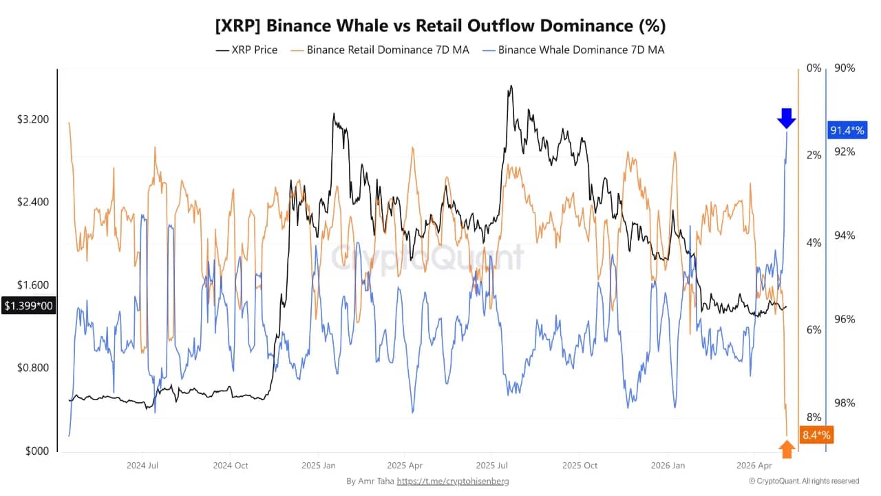 XRP Binance Whale