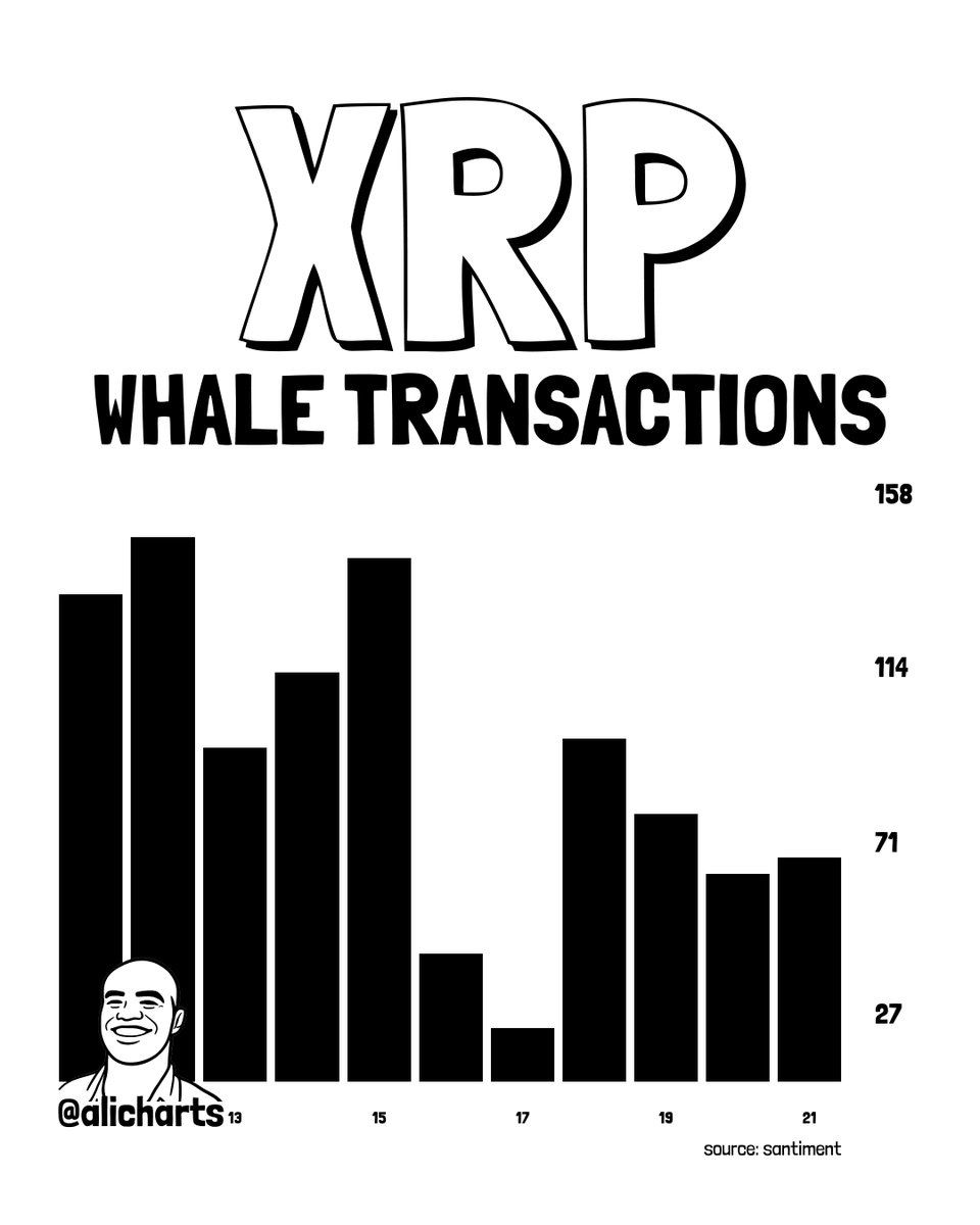 XRP Whale 24 mei