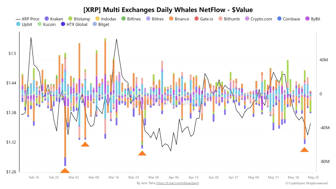 XRP Whale 25 mei