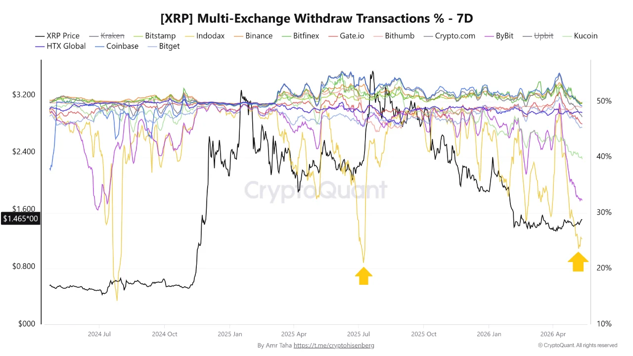XRP data bursa indodax