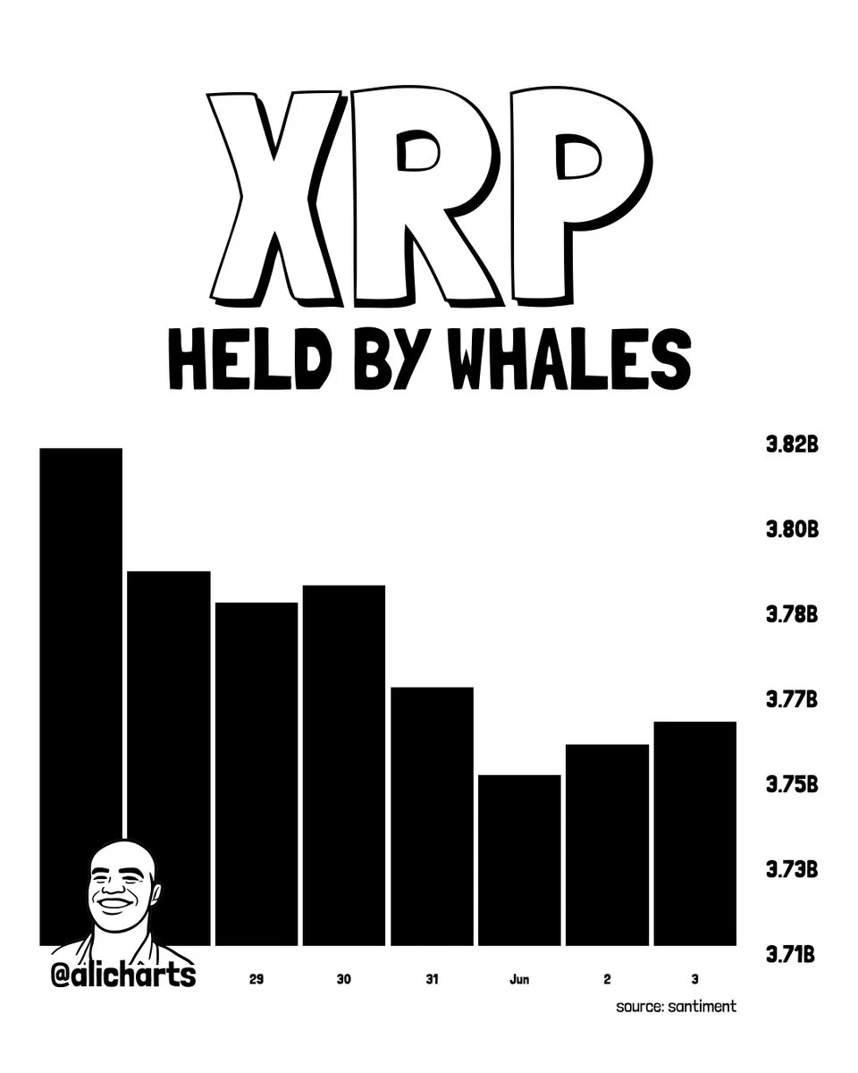 Aktivitas Whale XRP - Ali Martinez