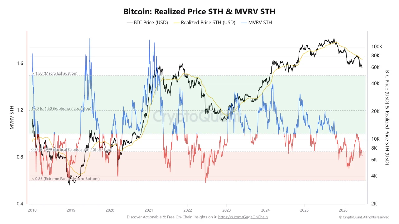 BTC STH 30 jn