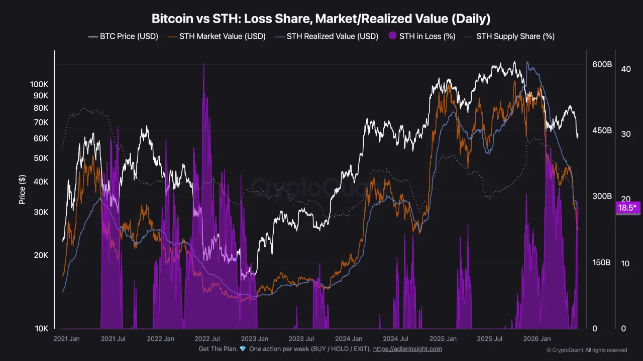 Bitcoin STH 10 jn