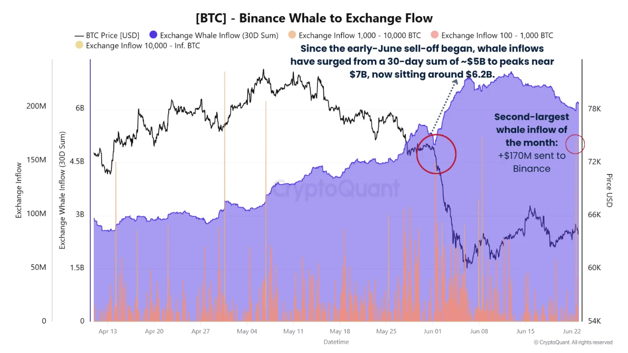 Bitcoin whale 24 jun