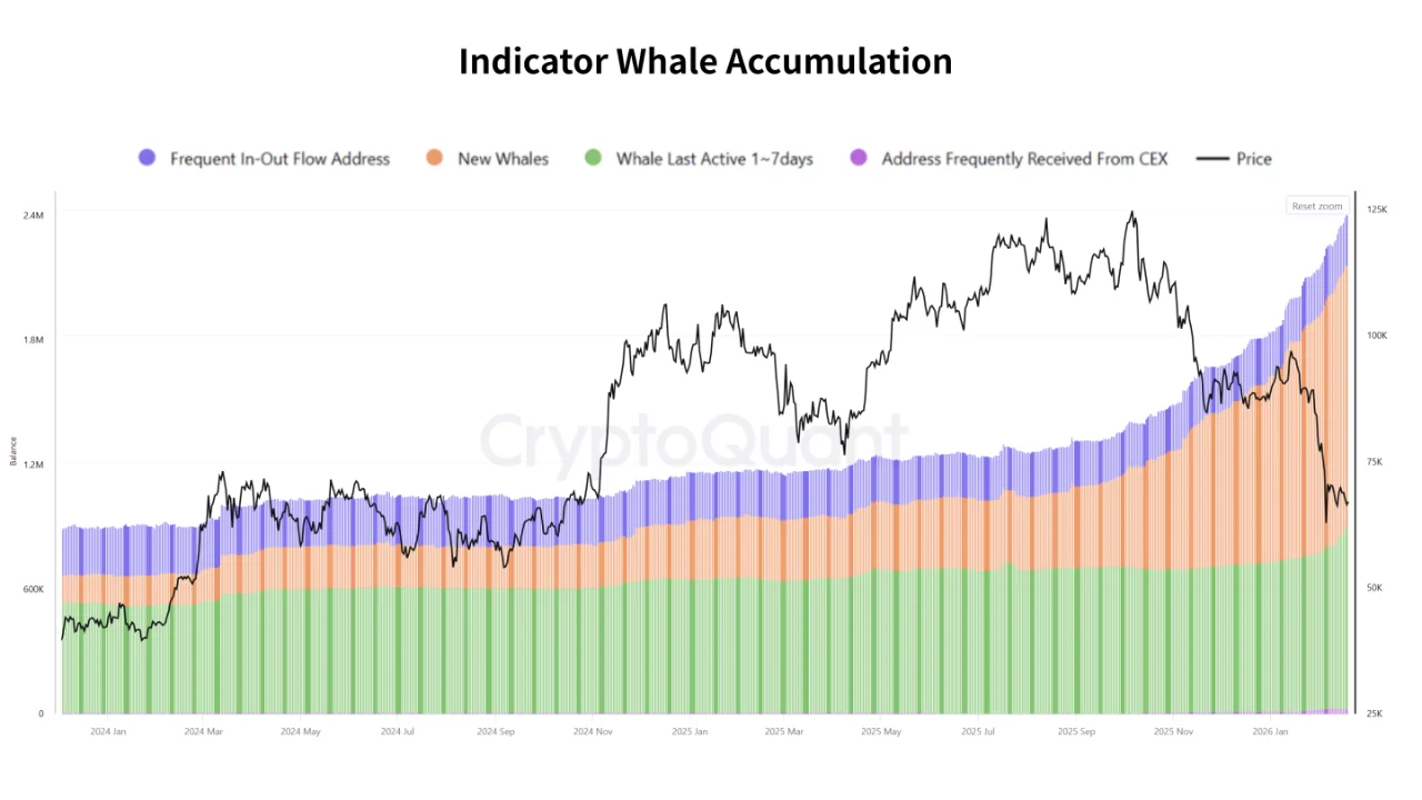 Bitcoin whale 29 jun