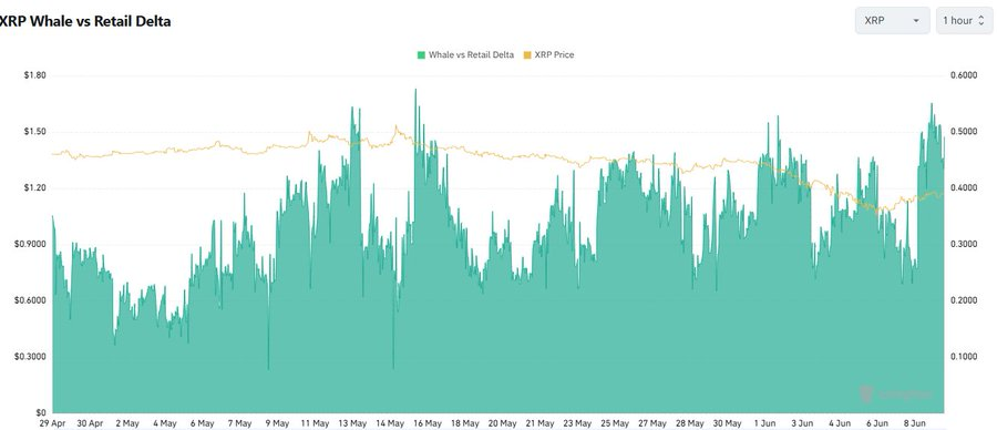XRP whale ritel