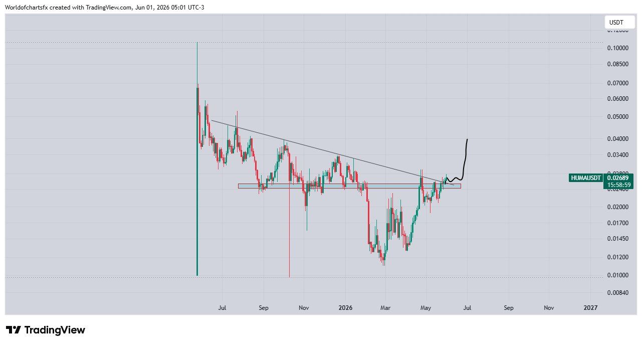 analisis HUMA 2 jun