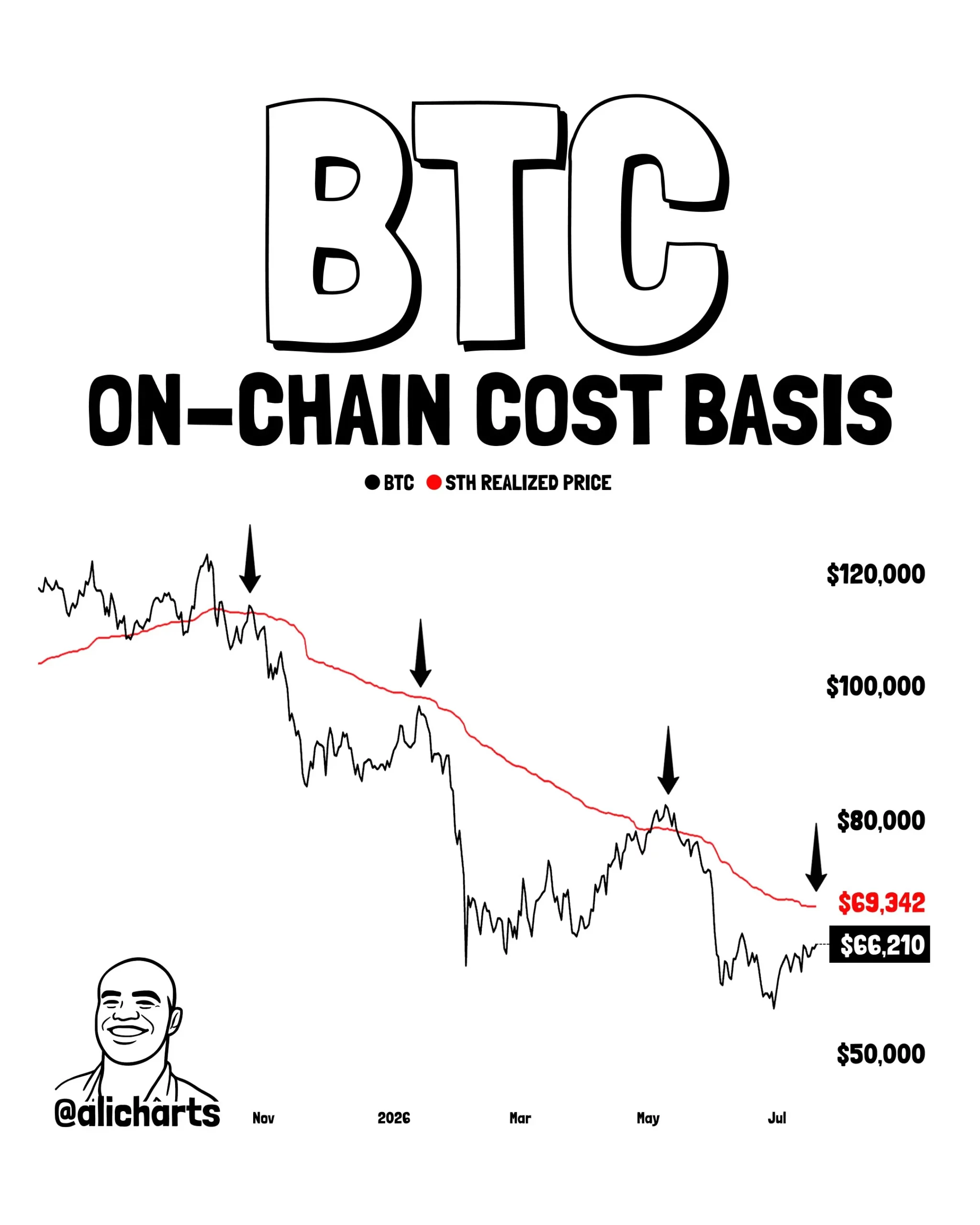 Bitcoin On-Chain Cost Basis - Ali Martinez