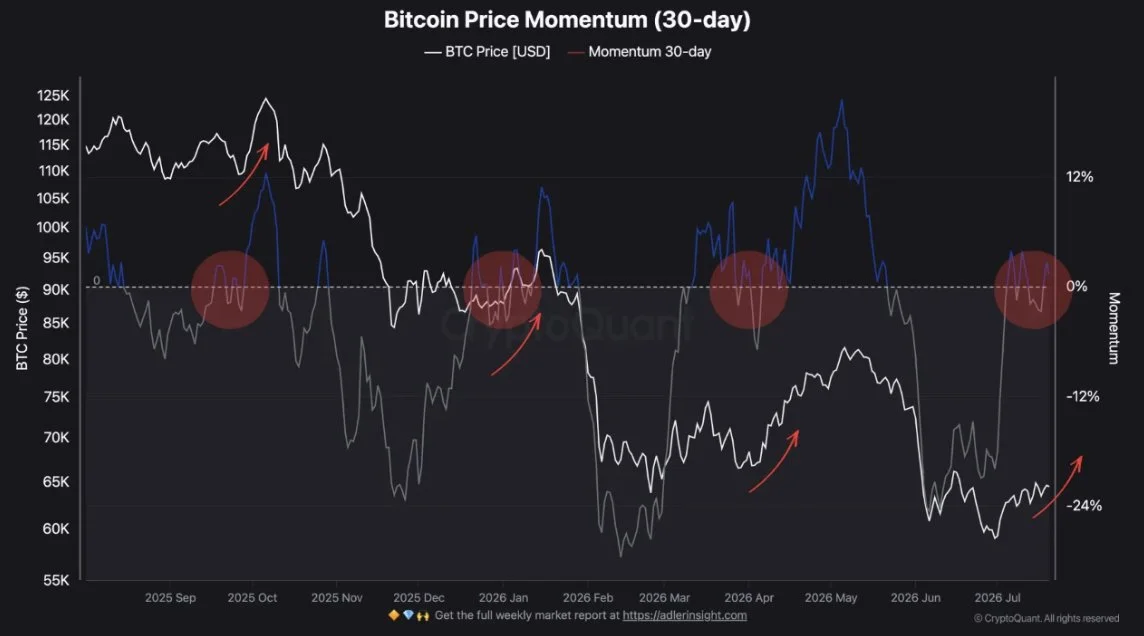 Bitcoin Price Momentum 30-Day - CryptoQuant (RugaResearch)