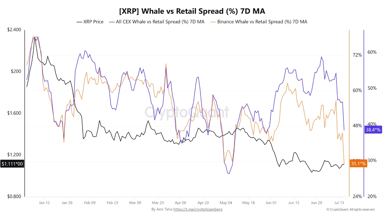 XRP Whale 17 jl