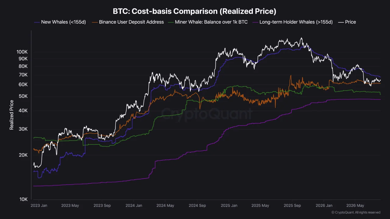BTC Cost Basis 9 AGS
