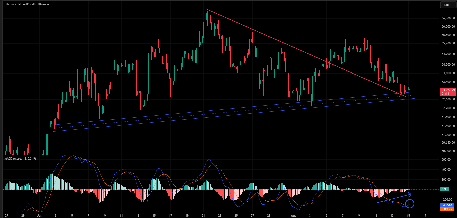 BTC analisis 16 AGS