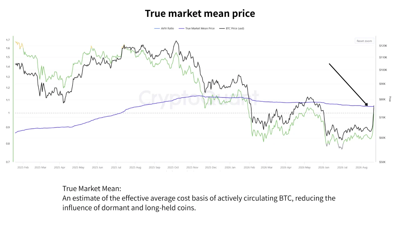 Bitcoin true market mean 23 ags