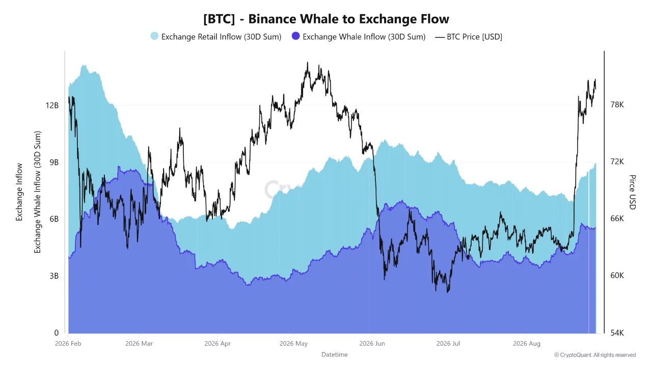Whale BTC 29 AGS