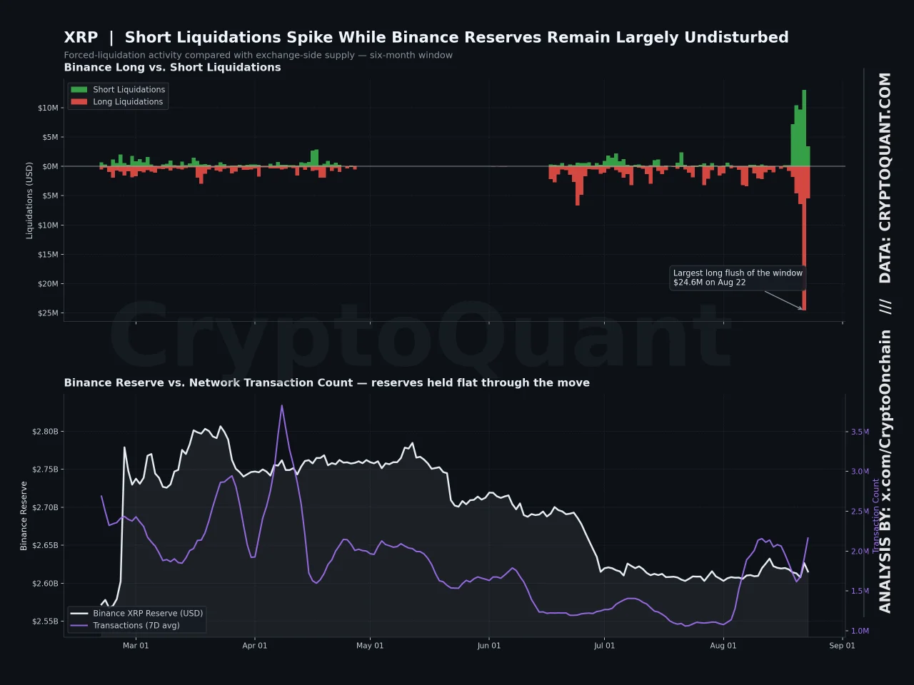 XRP Short likuidasi