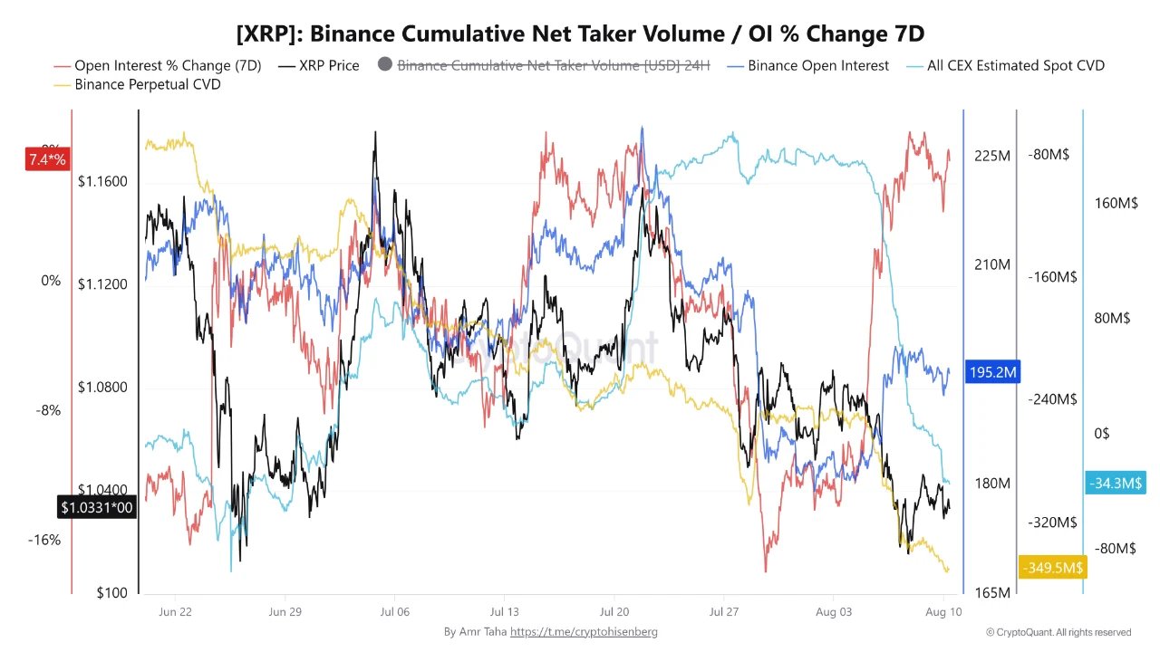 XRP net taker 12 ags