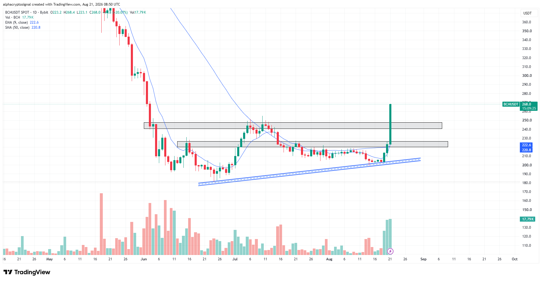 analisis BCH 22 AGS