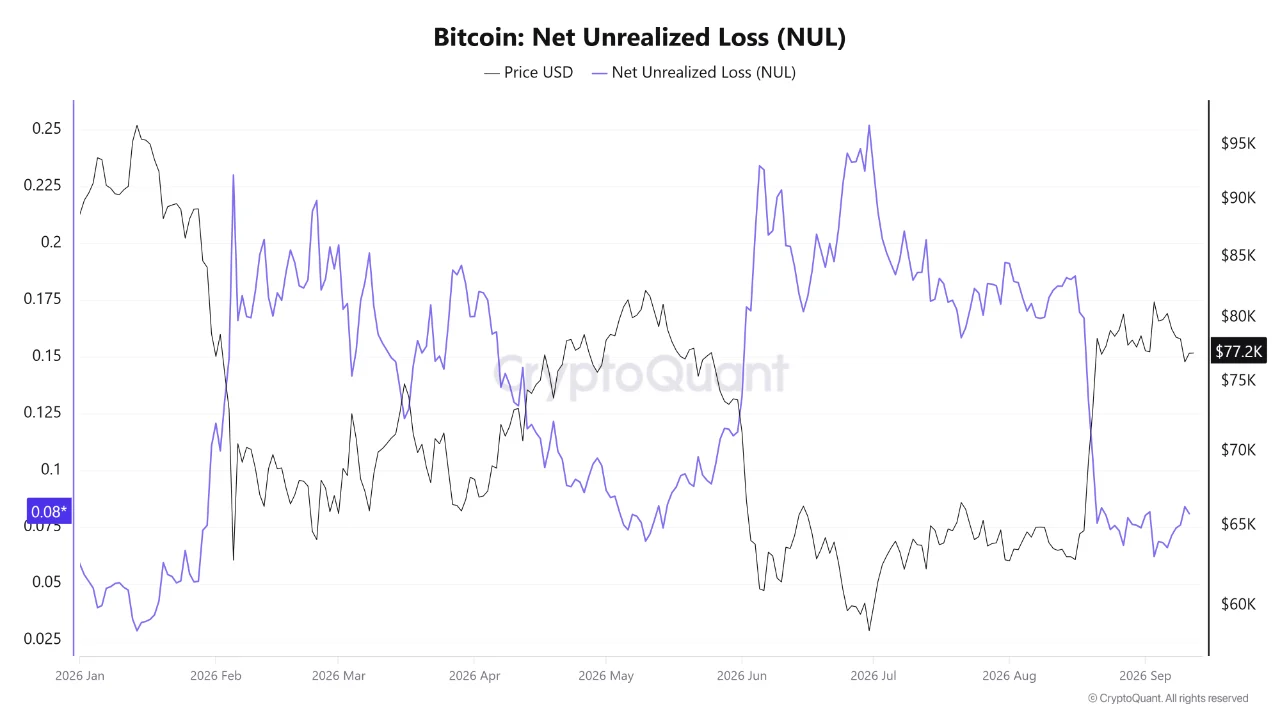 BTC NUL 13 sep