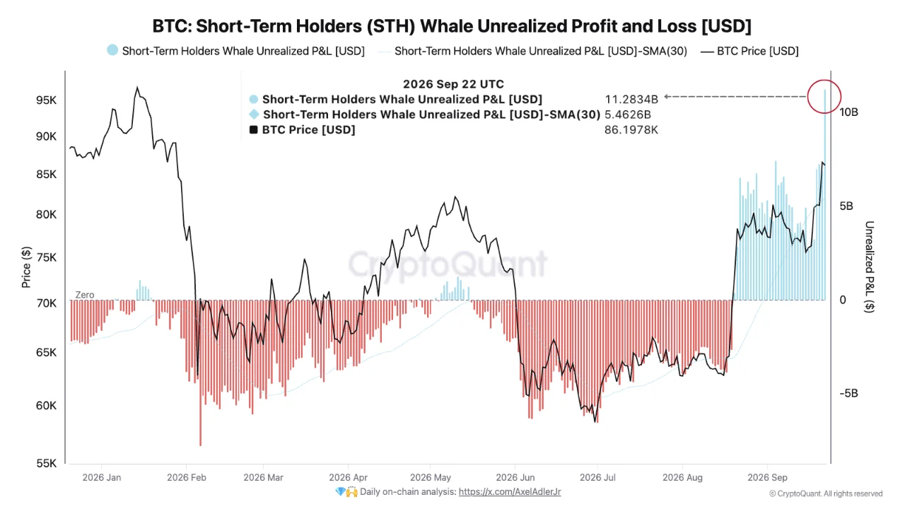 BTC STH Whale 24 sep