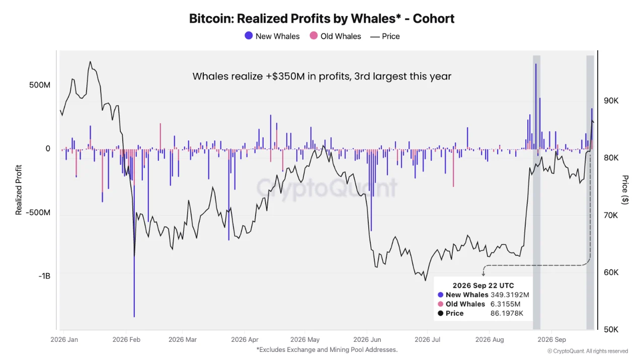 BTC realized profit whale 24 sep