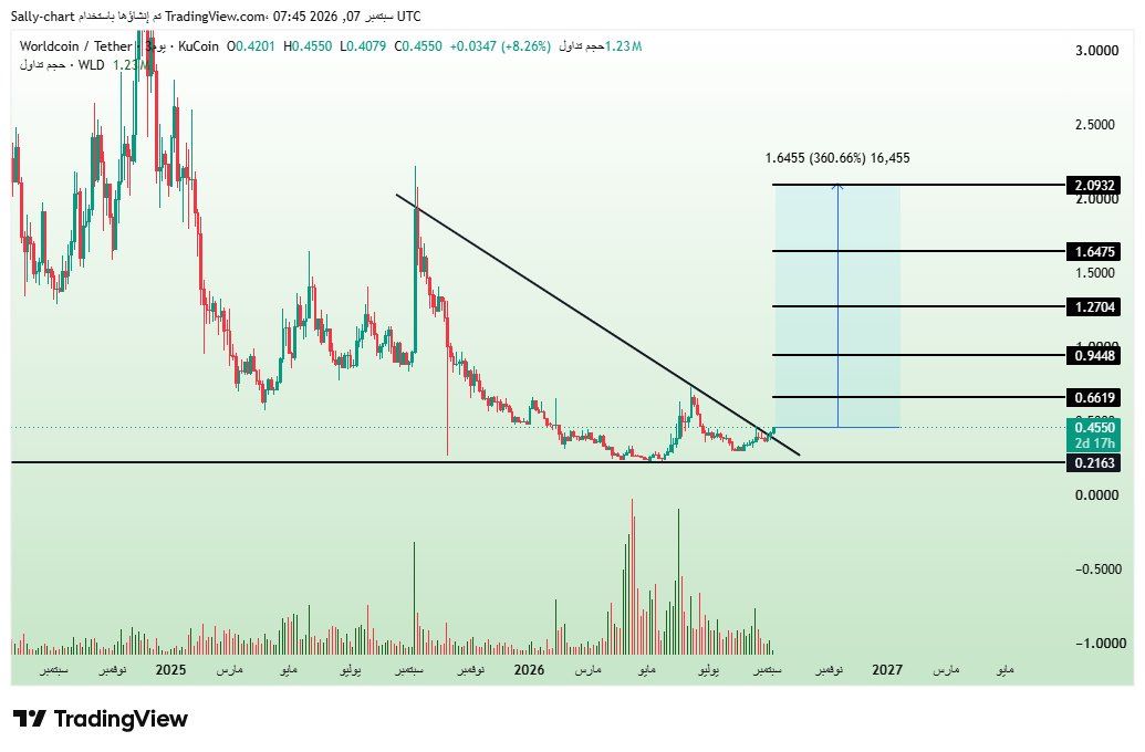 analisis WLD 8 SEP