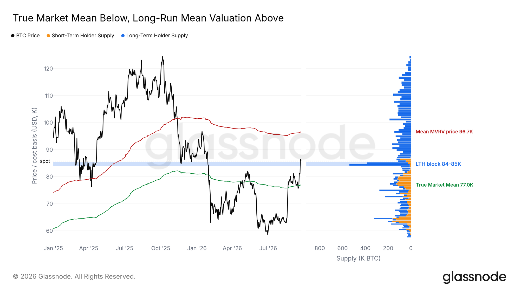 btc true market